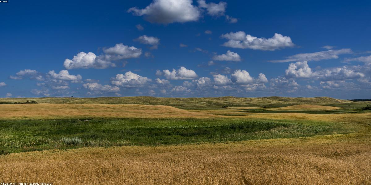 China Agriculture Trade Fair