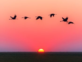 ACLE - All China Leather Exhibition