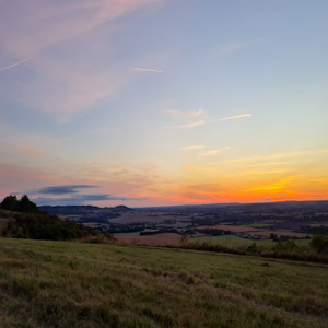 Canton Fair - Phase 3 (Spring Session)