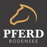 Pferd Bodensee Friedrichshafen