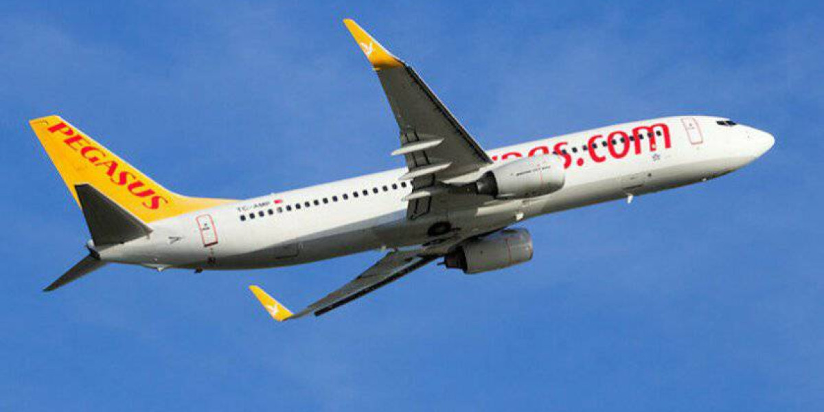 Pegasus Haziran'a Kadar Tüm Uçuşları İptal Etti!