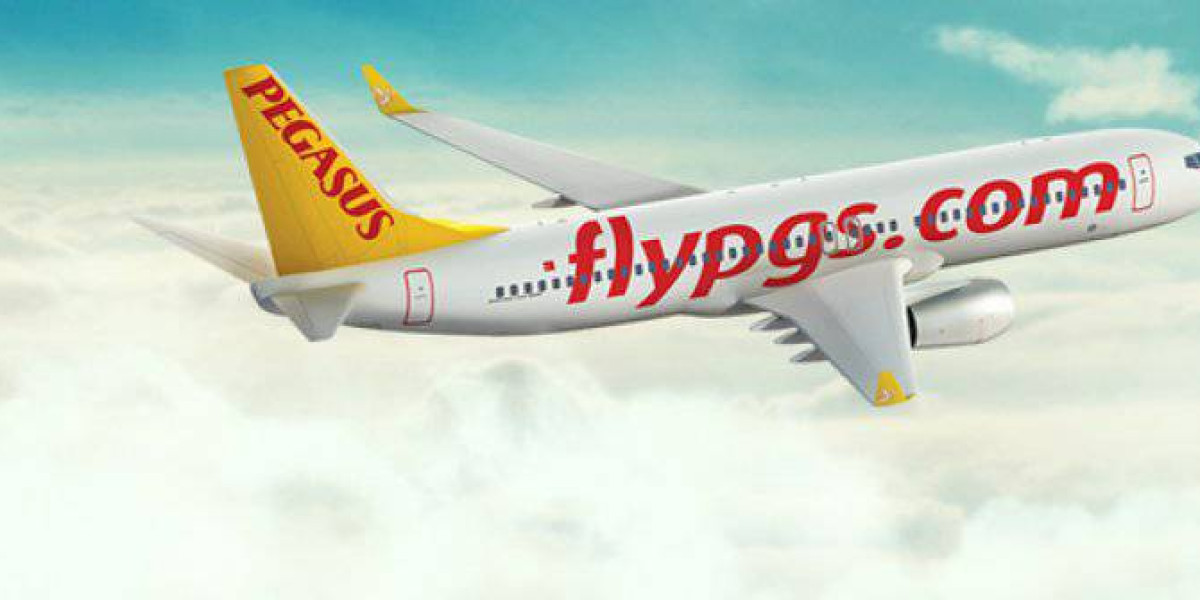 Pegasus, Yurtiçi 27 Destinasyonda!