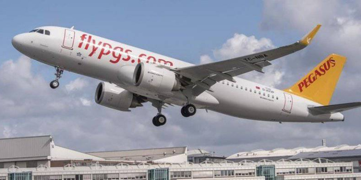 Pegasus, Yurtdışı Uçuş Programı!