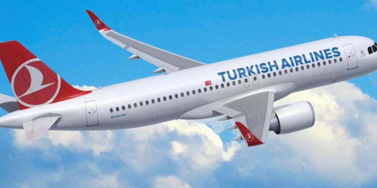 THY, Güncel Uçuş Planı