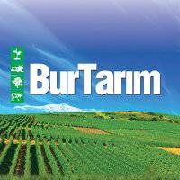 Burtarım