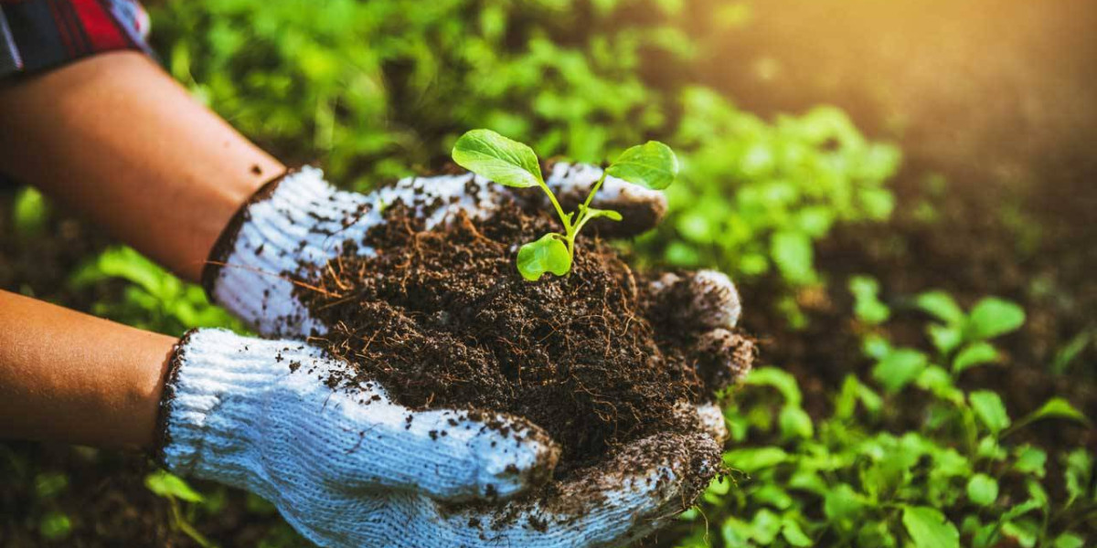 Organic & Natural 2022 Dubai Fuarının Önemli Detayları