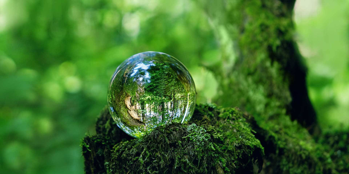 Doğal ve Organik Ürünler Fuarları: Sağlıklı ve Sürdürülebilir Yaşamın Anahtarı