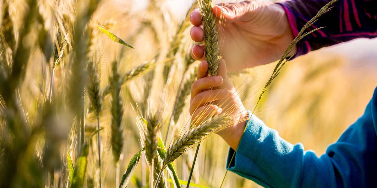 Eylül Ayında Düzenlenecek Tarım&Hayvancılık Fuarları