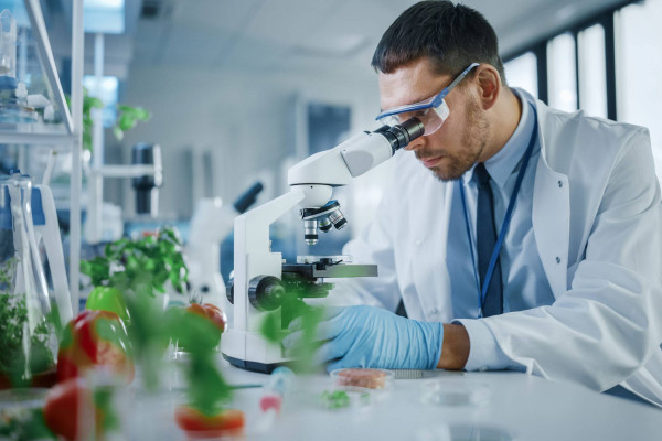 Gulfood Dubai Fuarı Detayları