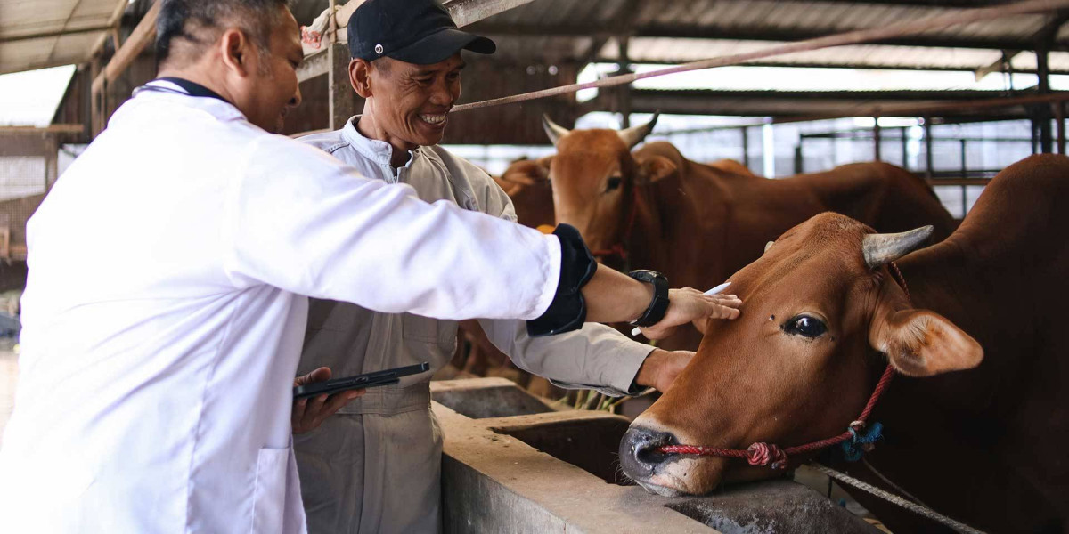 Yetkilisi Olduğumuz Fuar: EuroTier Fuarı
